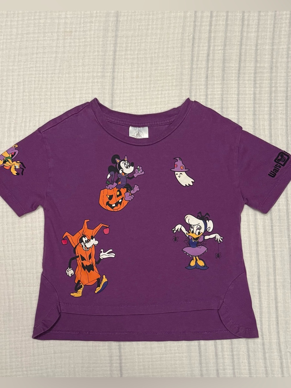 Disney Parks Halloween 2022 Minnie & Friends Purple Graphic Tshirt Youth Size Sm